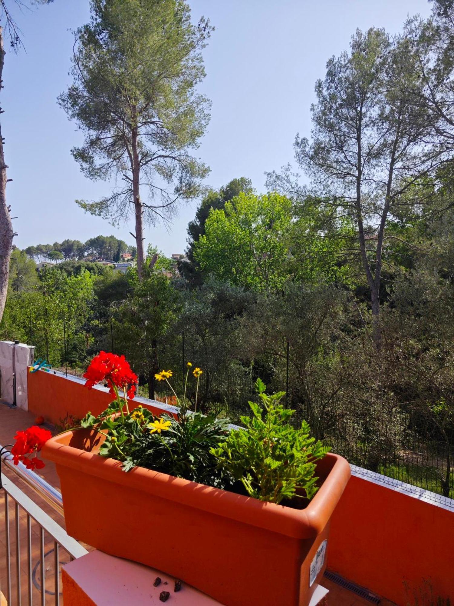 Relax House Barcelone Villa Sant Esteve Sesrovires Dış mekan fotoğraf